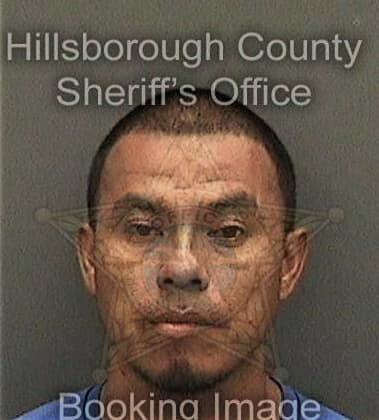 Kevin Martinezferrer, - Hillsborough County, FL 