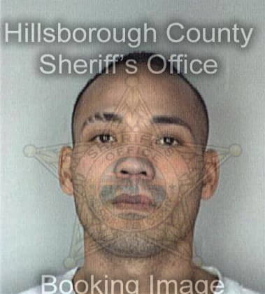 Joshua Bailey, - Hillsborough County, FL 