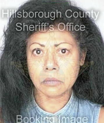 Deborah Catanzaro, - Hillsborough County, FL 