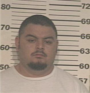 Sergio Chavez, - Hidalgo County, TX 