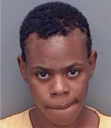 Tiffany McGill - Pinellas County, FL 