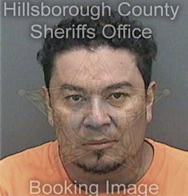 Ubein Perezmendez, - Hillsborough County, FL 