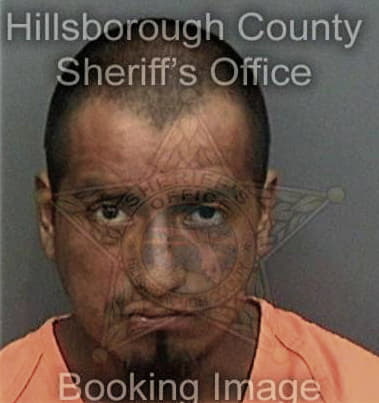 Margarito Alamillamendoza, - Hillsborough County, FL 