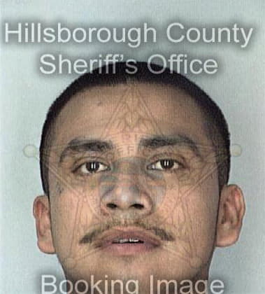 Richard Bethel - Hillsborough County, FL 