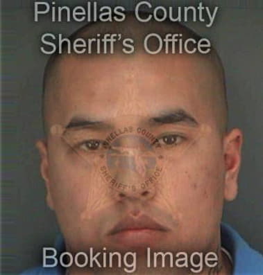 Dario Gomez, - Pinellas County, FL 