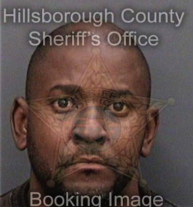 Kenneth King, - Hillsborough County, FL 