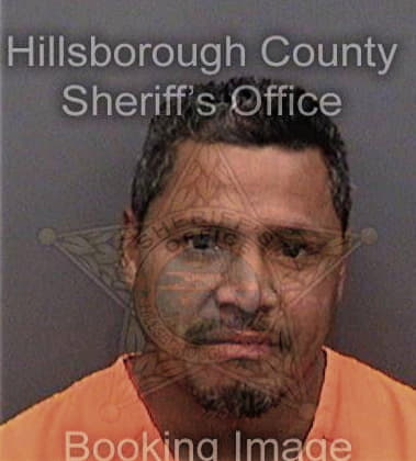 Daniel Licona, - Hillsborough County, FL 