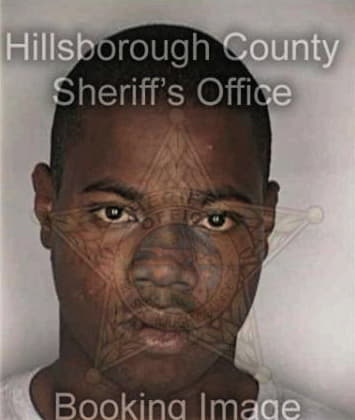 Akalu Mekuria - Hillsborough County, FL 